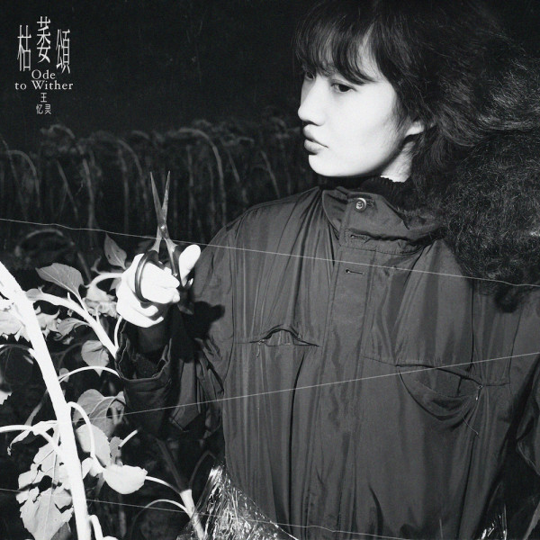 Wang Yiling 王忆灵